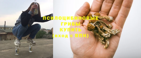 каннабис Магас
