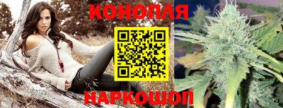 МДПВ Гусев