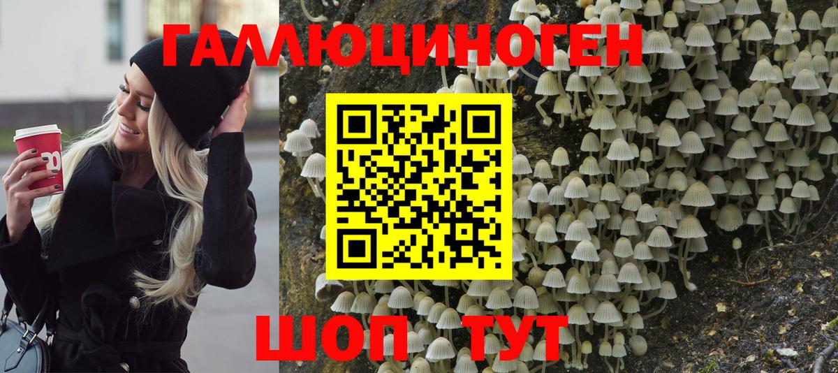 Галлюциногенные грибы мицелий  Георгиевск 